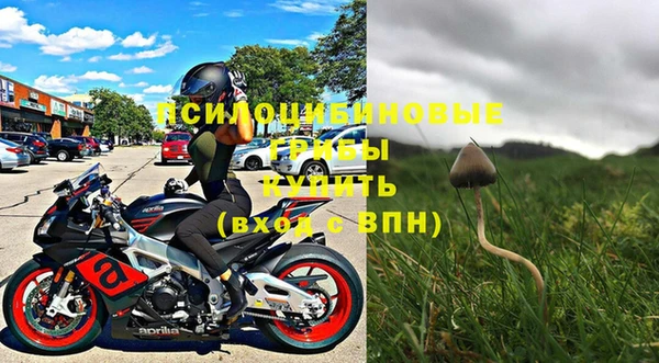 ПСИЛОЦИБИНОВЫЕ ГРИБЫ Кохма