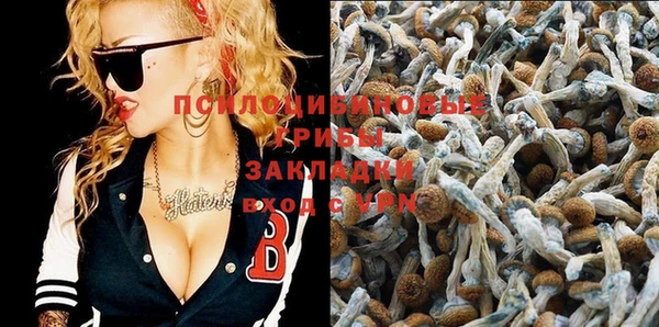 МДПВ Усинск