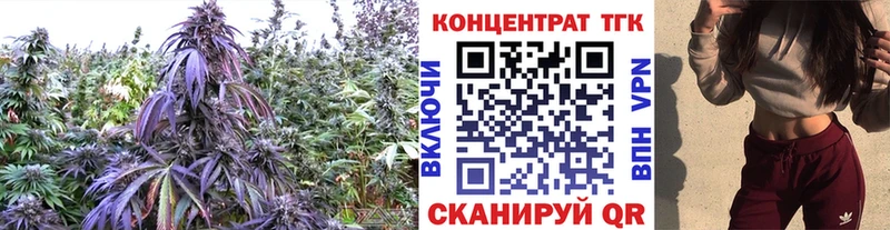 ТГК вейп  кракен рабочий сайт  Зверево  купить закладку 